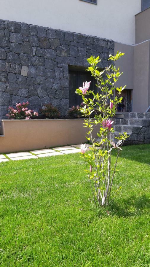Anna & Alfredo Bed And Breakfast Zafferana Etnea Exteriér fotografie